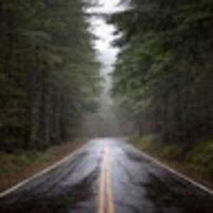 Meet your Posher, Todd